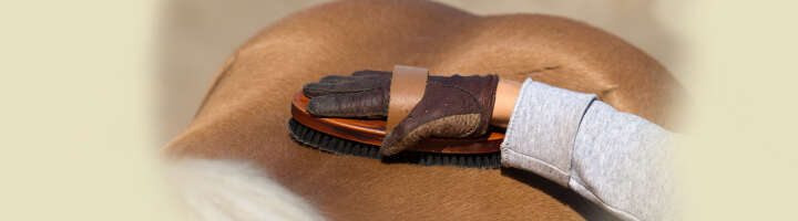 kardaetsche kategorieeinstiegsbanner